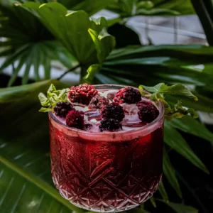 Cool Blackberry Hibiscus