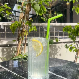 GINGINATTI ICE